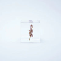 Sola Cube - Sea Lavender