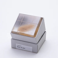 Sola Cube - Bunny Tail
