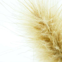 Sola Cube - Bunny Tail