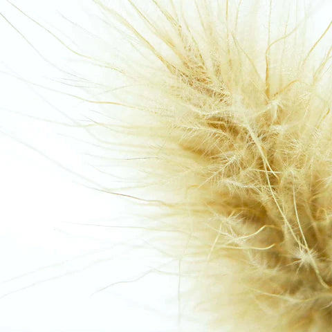 Sola Cube - Bunny Tail