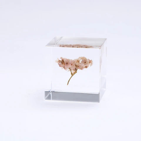 Sola Cube - Sea Lavender