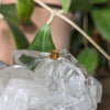 Kirra-Lea -  Sterling Silver angel hair vine twig ring