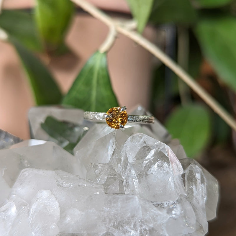 Kirra-Lea -  Sterling Silver angel hair vine twig ring