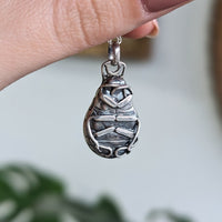 Kirra-Lea - Beetle Locket Necklace with Labradorite