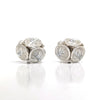 Manuela Igreja - Trio Leucoxylon Studs