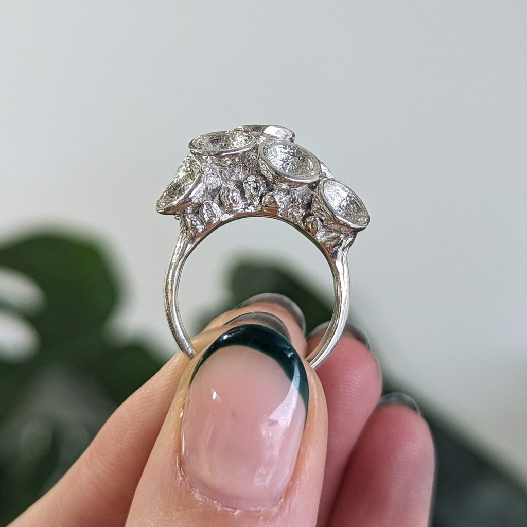 Manuela Igreja - Leucoxylon Forest Ring