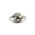 Manuela Igreja - Trio Leucoxylon Ring