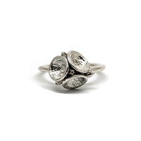 Manuela Igreja - Trio Leucoxylon Ring