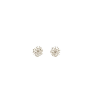 Manuela Igreja - Sheoak Studs