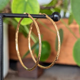 Round Patterned Hoop Earrings 9ct Yellow Gold