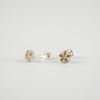 Manuela Igreja - Tiny Manuka Studs