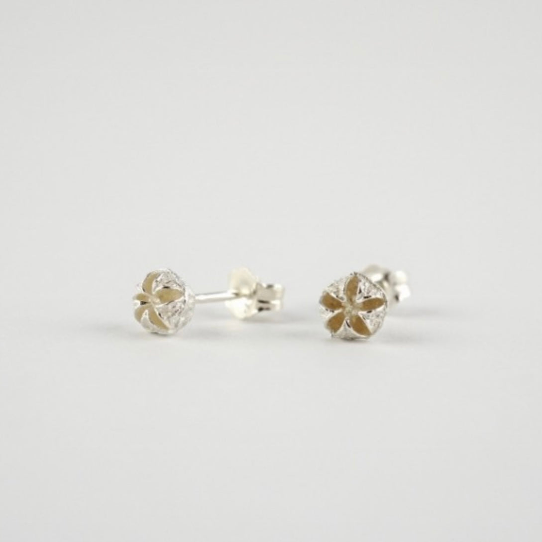 Manuela Igreja - Tiny Manuka Studs