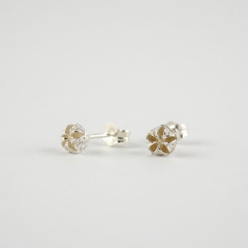 Manuela Igreja - Tiny Manuka Studs