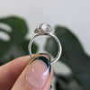 Manuela Igreja - Trio Leucoxylon Ring