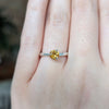 Kirra-Lea -  Sterling Silver angel hair vine twig ring