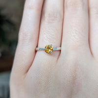 Kirra-Lea -  Sterling Silver angel hair vine twig ring
