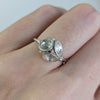 Manuela Igreja - Trio Leucoxylon Ring