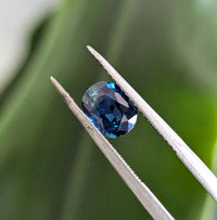 1.324ct Sapphire - Oval Blue Sapphire