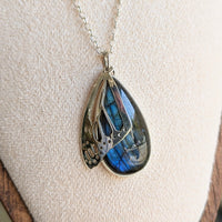 Kirra-Lea - Butterfly Wing with Labradorite