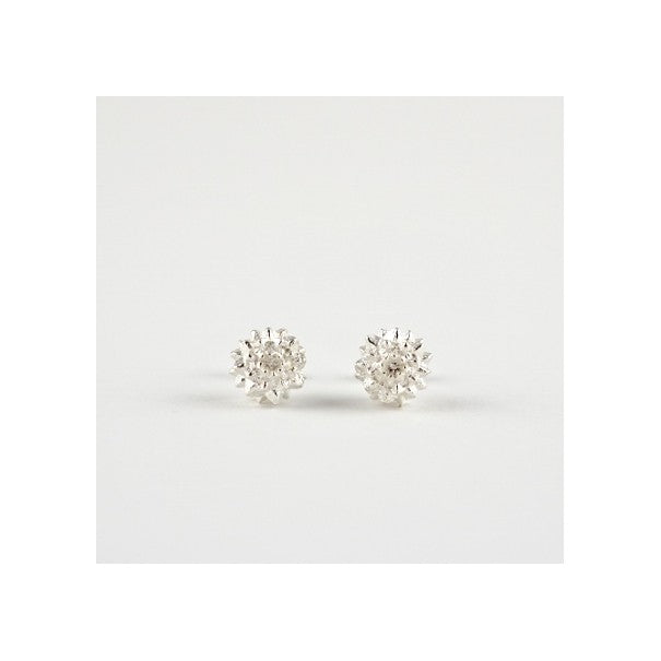 Manuela Igreja - Sheoak Studs