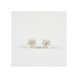 Manuela Igreja - Sheoak Studs