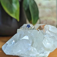 Manuela Igreja - Solitaire Iolite Spur Ring