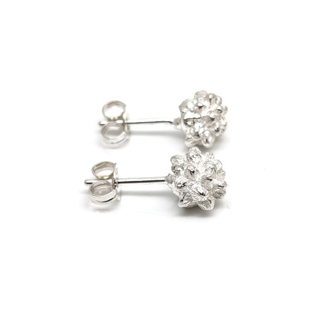 Manuela Igreja - Wattle Studs