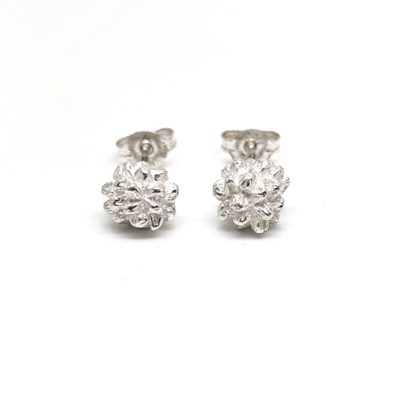 Manuela Igreja - Wattle Studs
